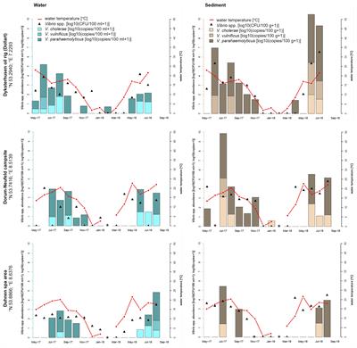 Prevalence and Distribution of Potentially Human Pathogenic Vibrio spp. on German North and Baltic Sea Coasts